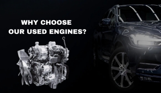 why choose us